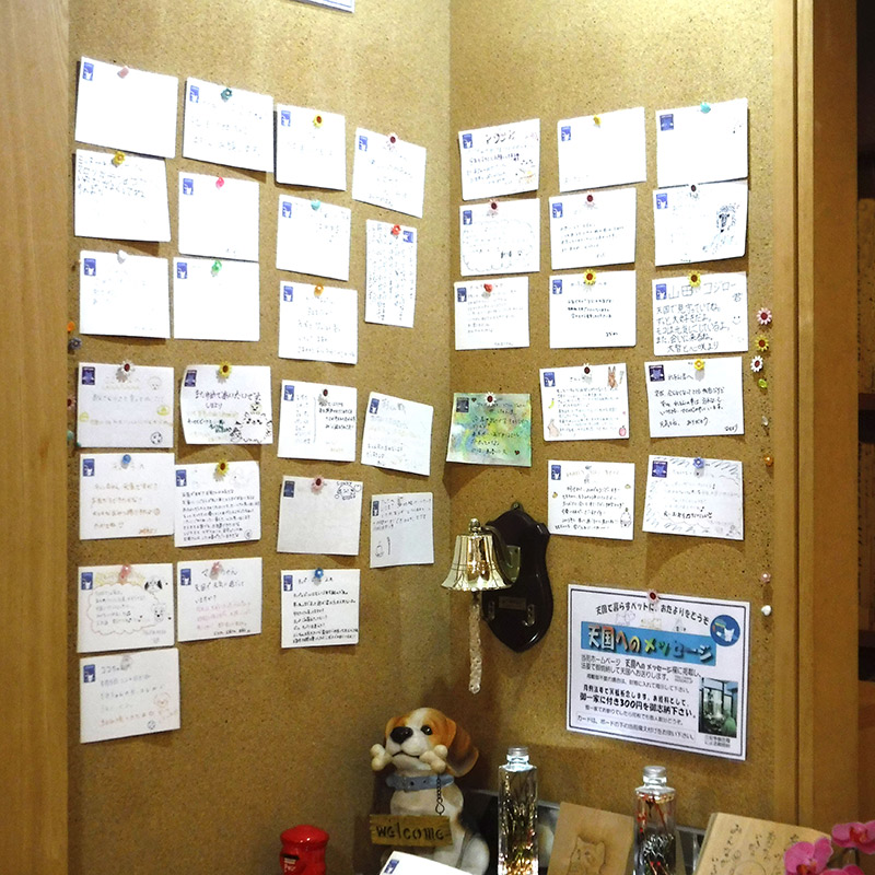 メッセージヘッド