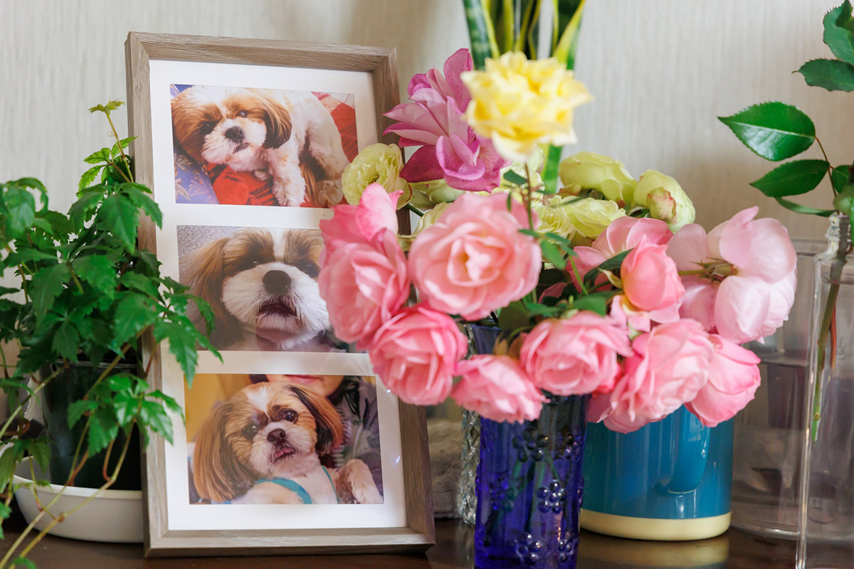 コラムイメージ