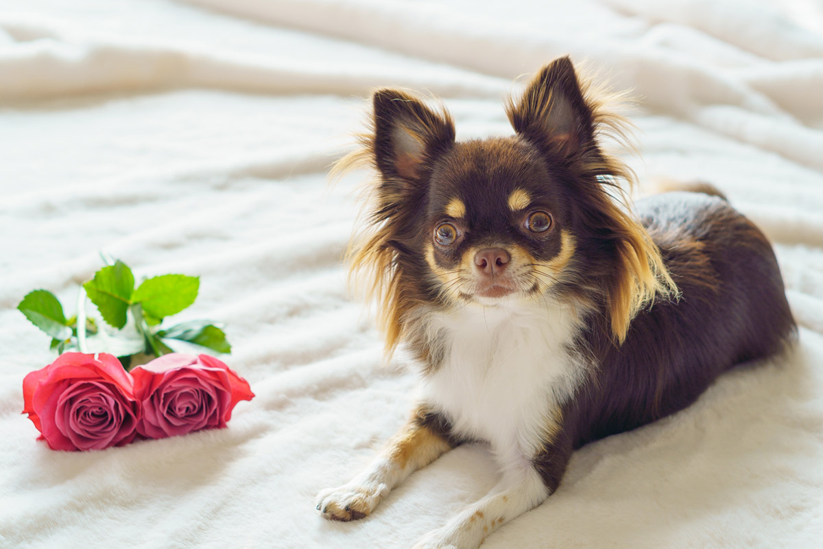 コラムイメージ